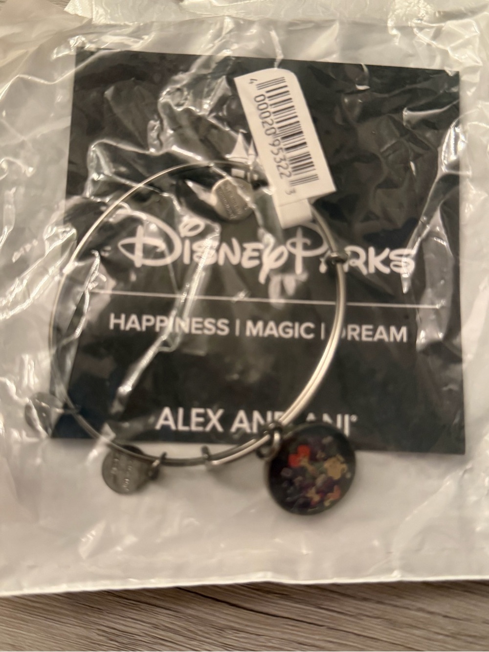 Alex and Ani Silver Disney Parks Charm Bangle hocus pocus Charm